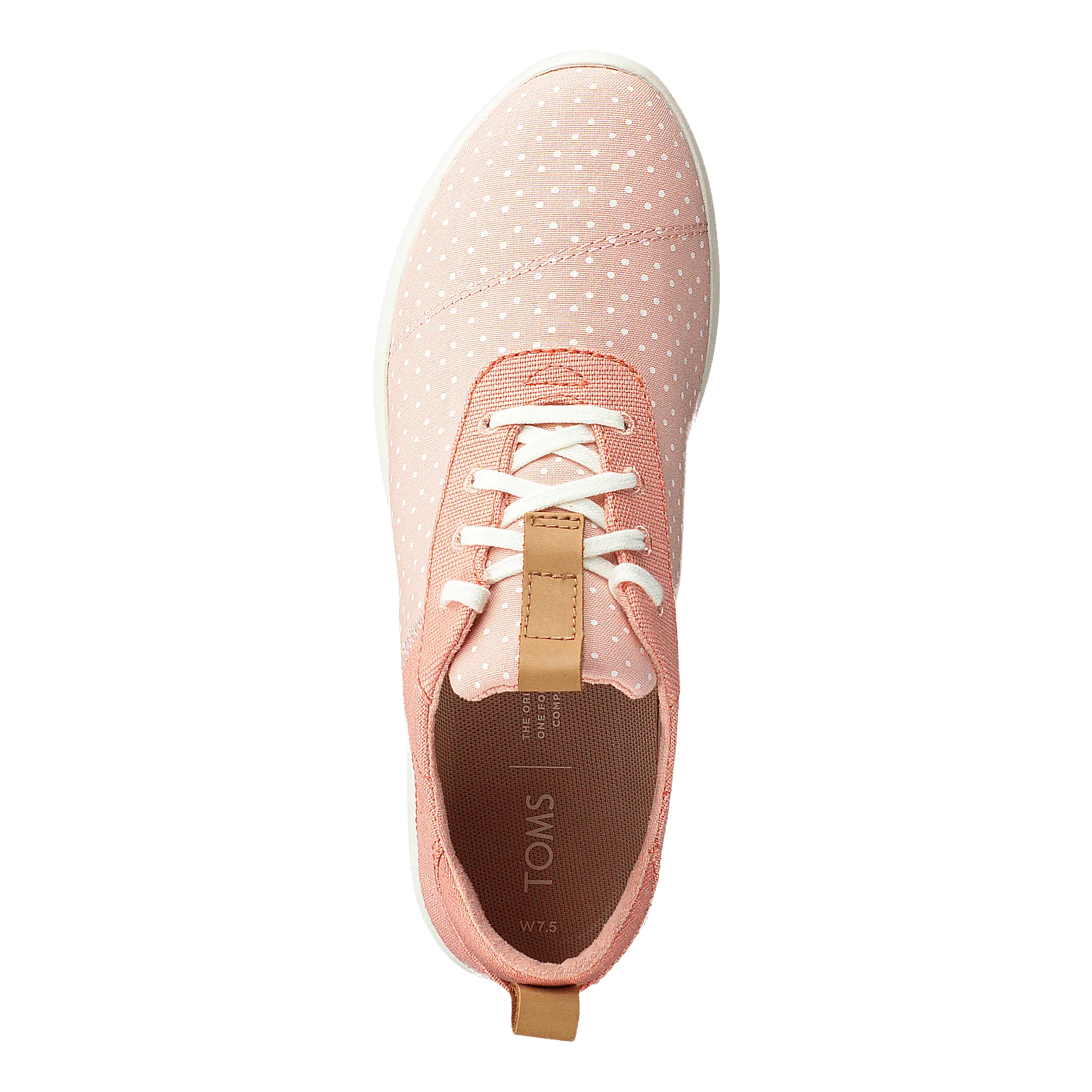 Coral Pink Coral