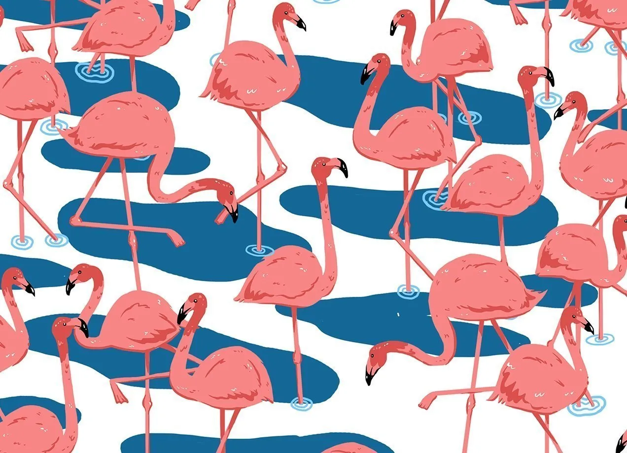 FLAMINGO Legging