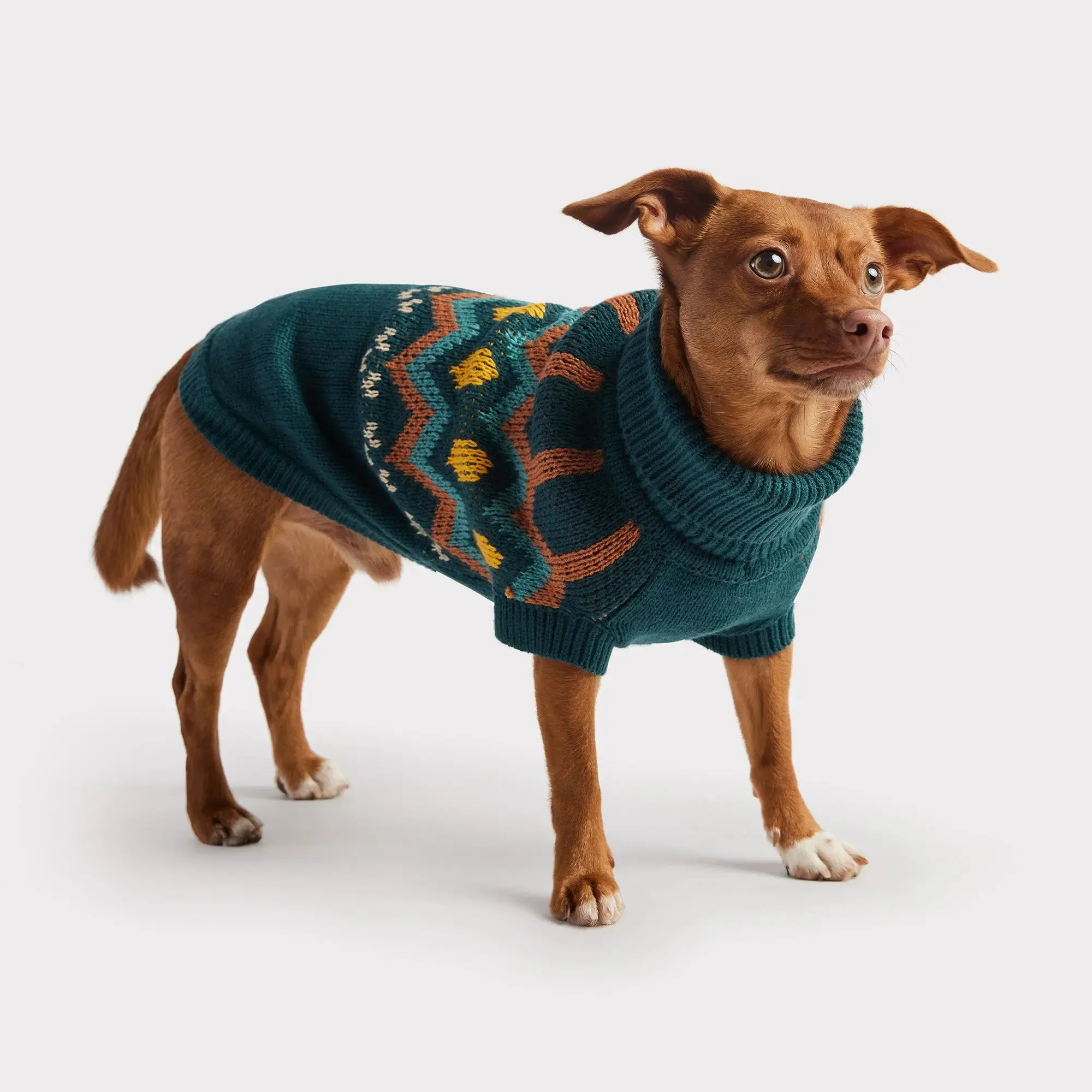 Heritage Dog Sweater | Teal