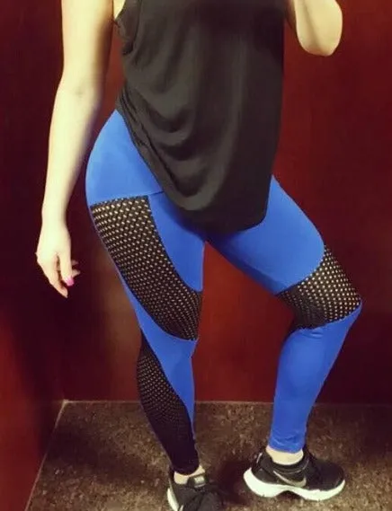 Women's Summer Elastic High Waist Quick-Dry Workout Leggins
