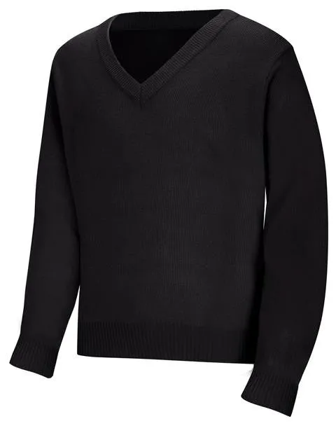 Youth Unisex Long Sleeve V-neck Sweater